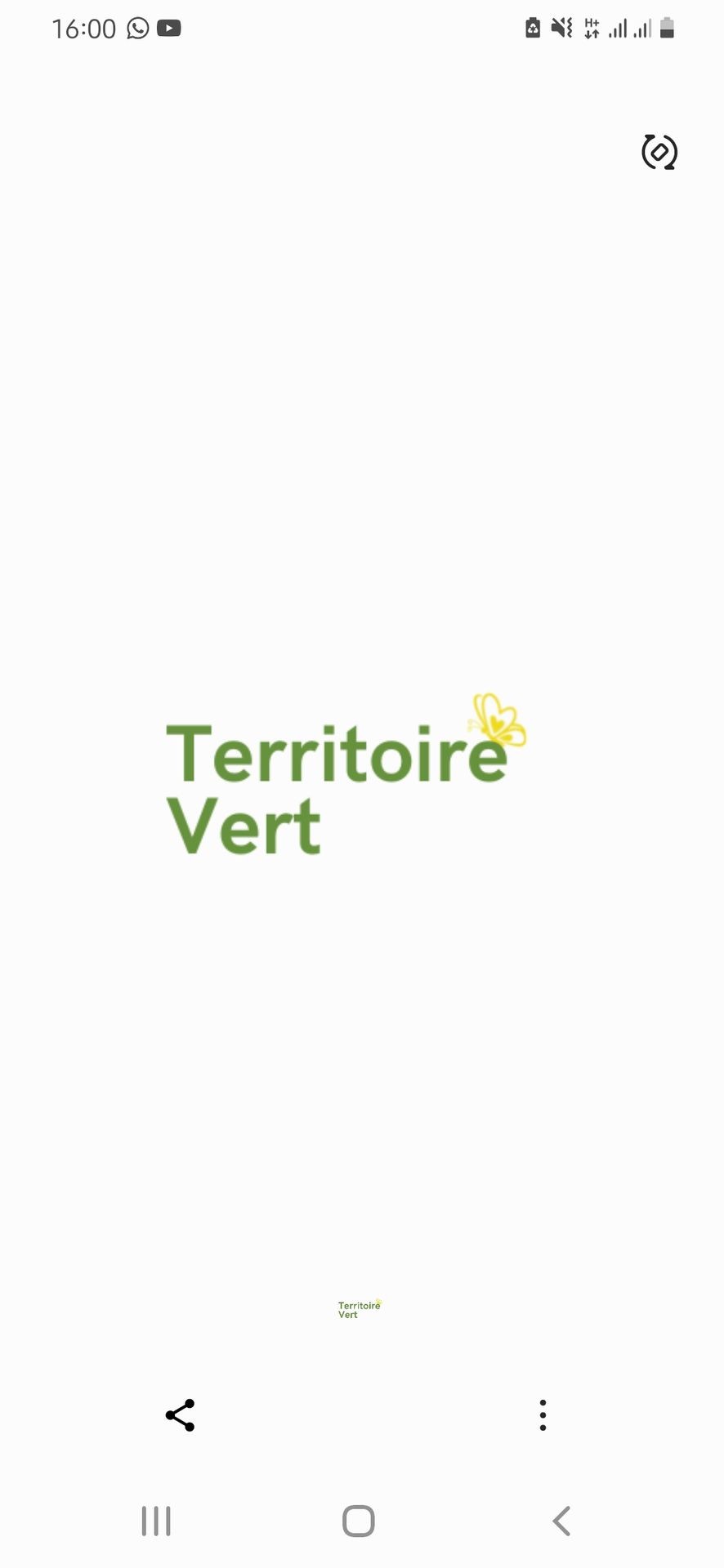 - Chadya Z, Territoire Vert